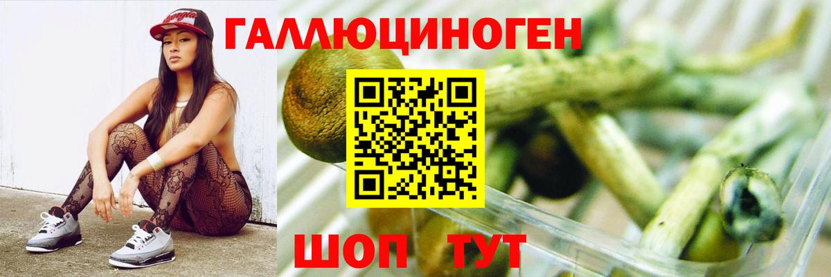 Псилоцибиновые грибы прущие грибы  Вход с VPN  Ликино-Дулёво 